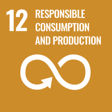 SDG 12 – Responsible Consumption and Production