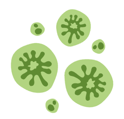 Green algae icon
