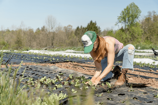 woman planting